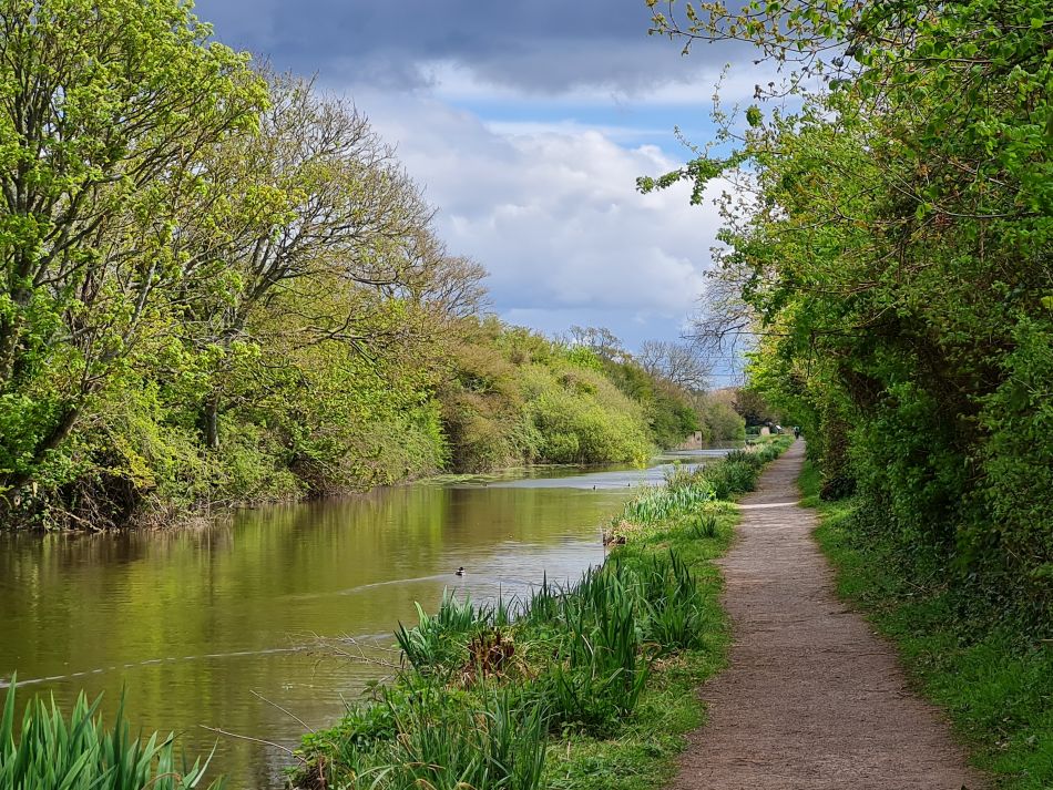 2024-04-17 12 Chichester Canal.jpg