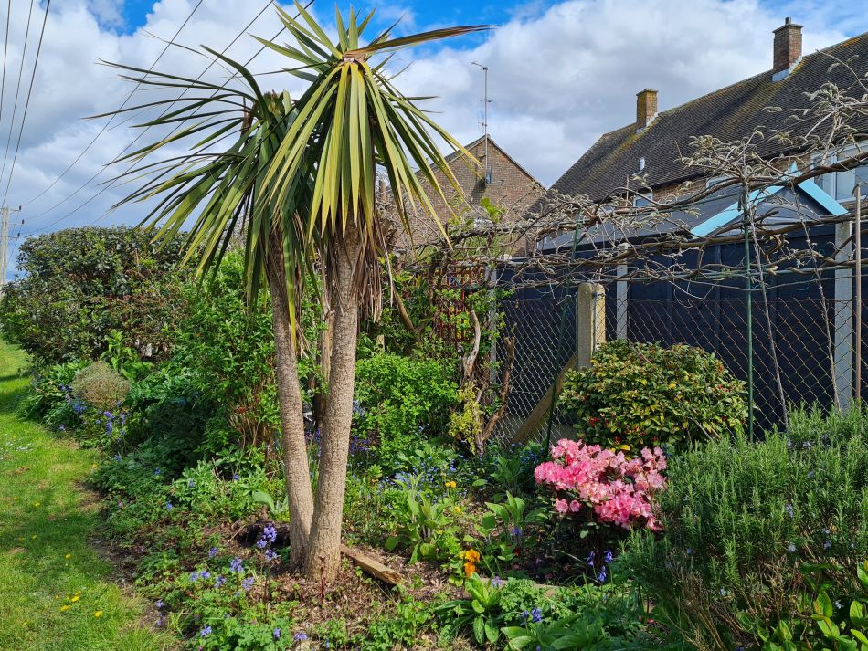 2024-04-17 16 Chichester Canal.jpg