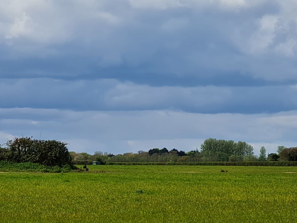2024-04-17 20 Chichester Canal.jpg