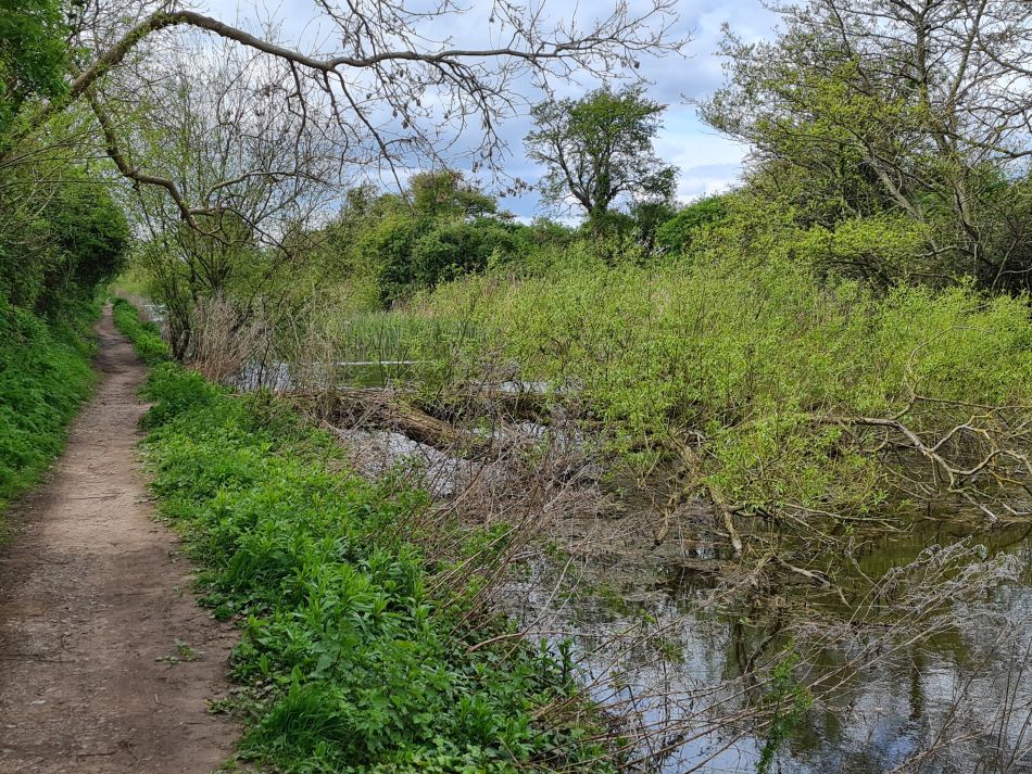 2024-04-17 22 Chichester Canal.jpg
