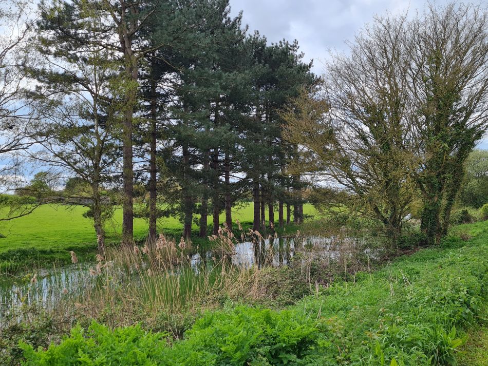 2024-04-17 24 Chichester Canal.jpg