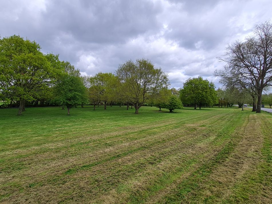 2024-04-17 25 Chichester Canal.jpg