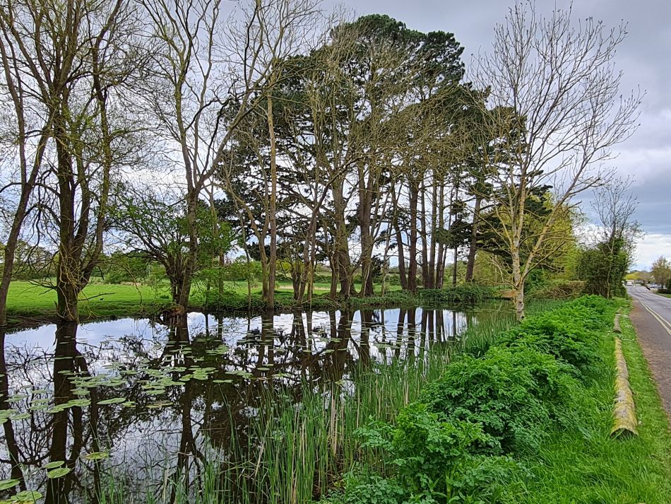 2024-04-17 26 Chichester Canal.jpg