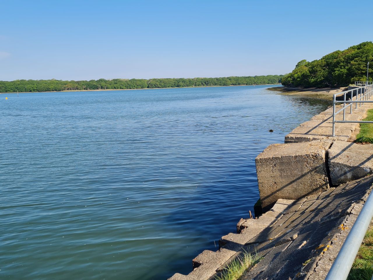 2025-05-09 14 Ship Canal.jpg