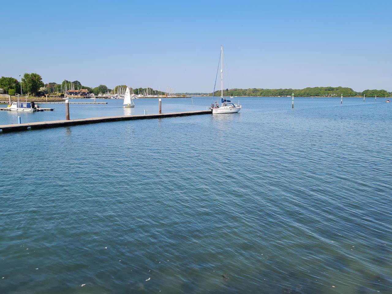 2025-05-09 15 Ship Canal.jpg