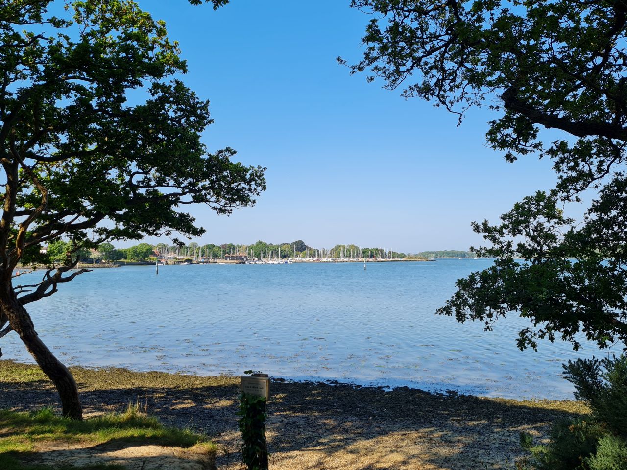 2025-05-09 18 Ship Canal.jpg