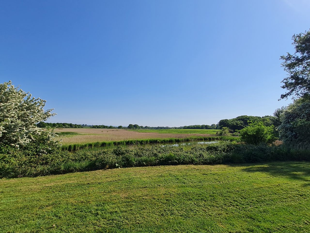 2025-05-09 21 Ship Canal.jpg