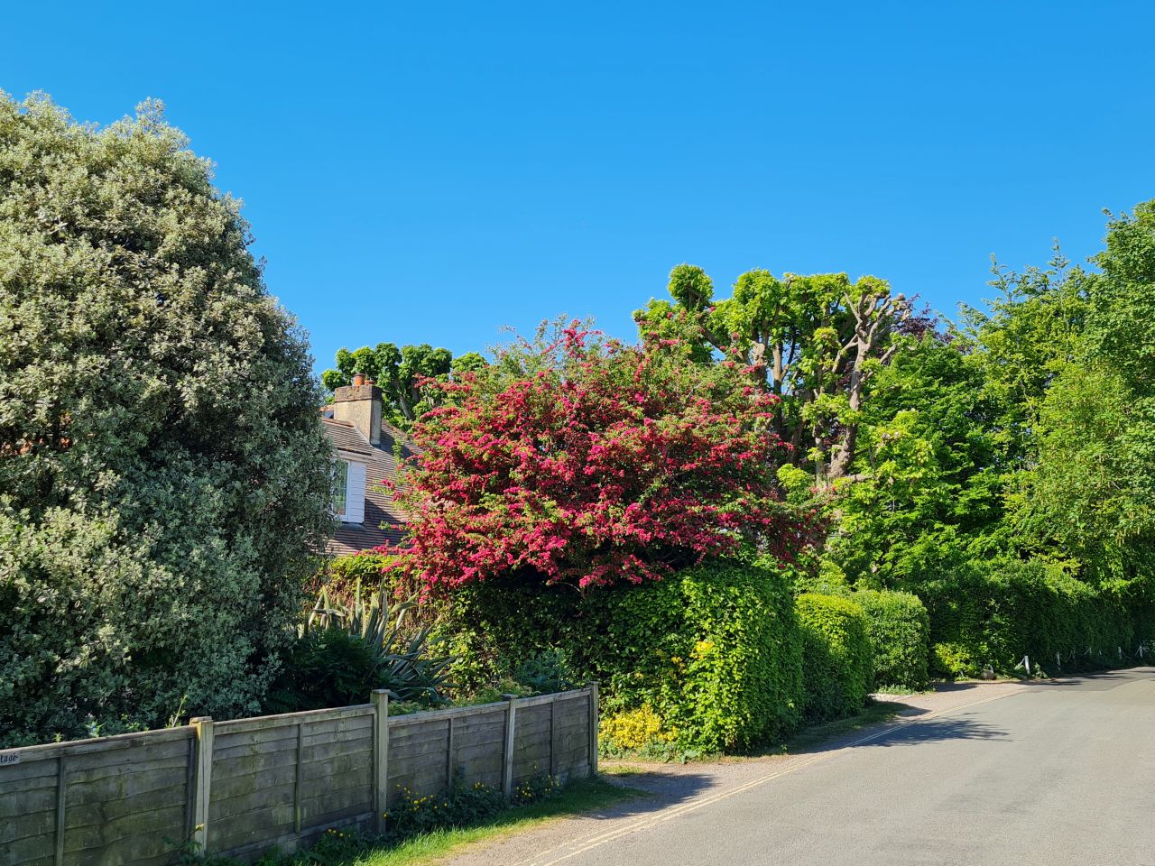 2025-05-09 22 Ship Canal.jpg