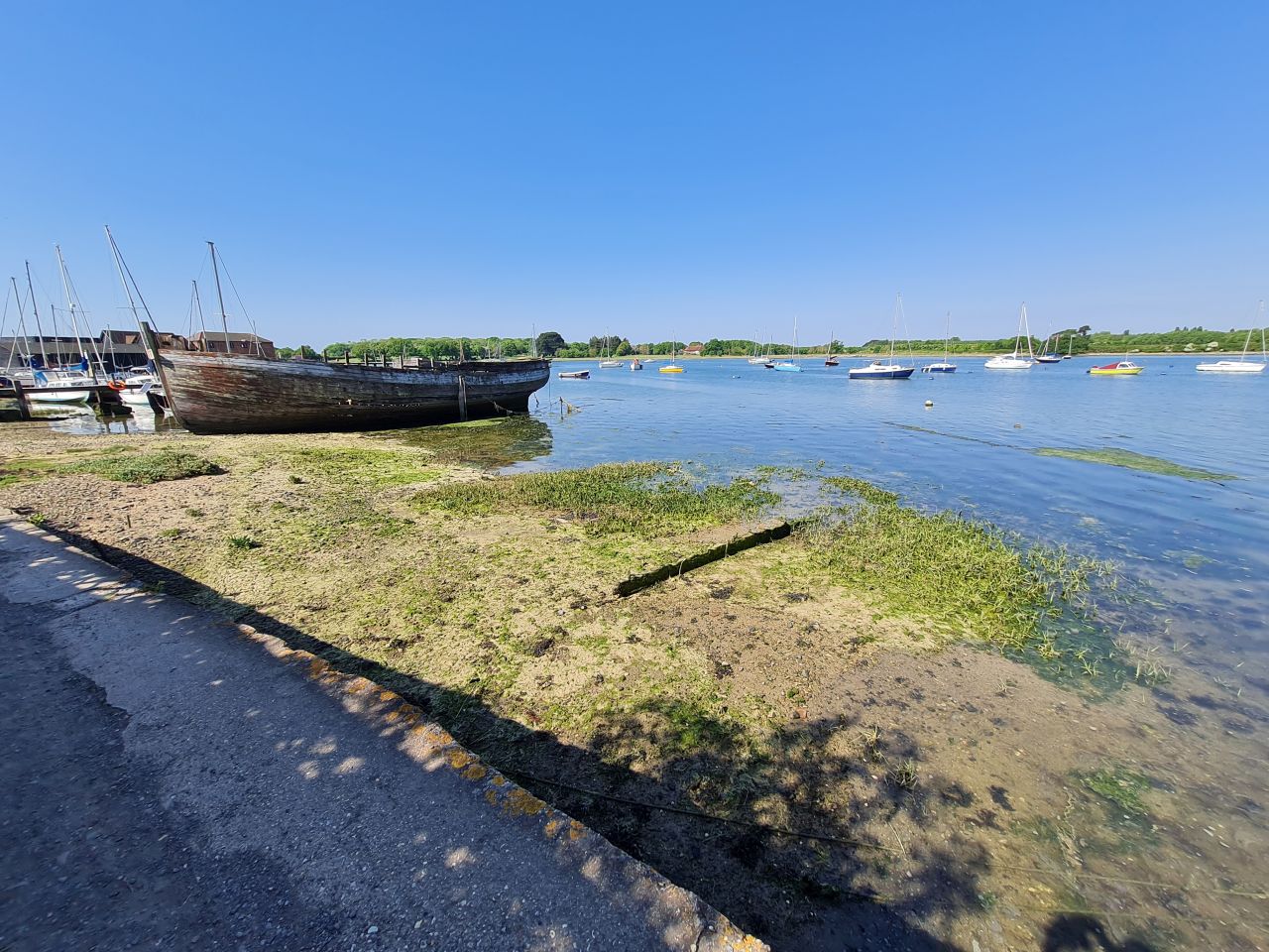 2025-05-09 25 Ship Canal.jpg