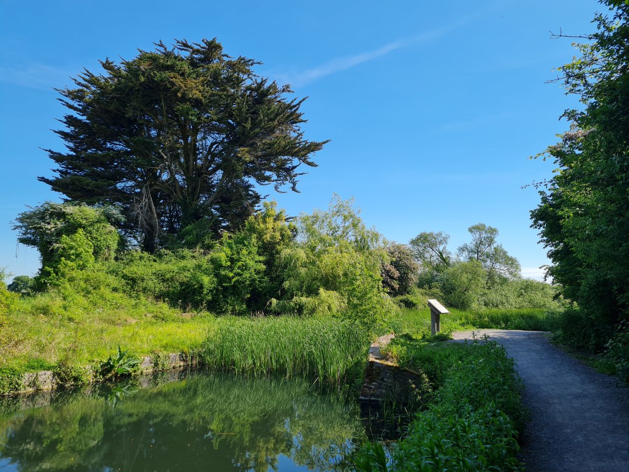 2025-05-11 02 Chichester Ship Canal.jpg