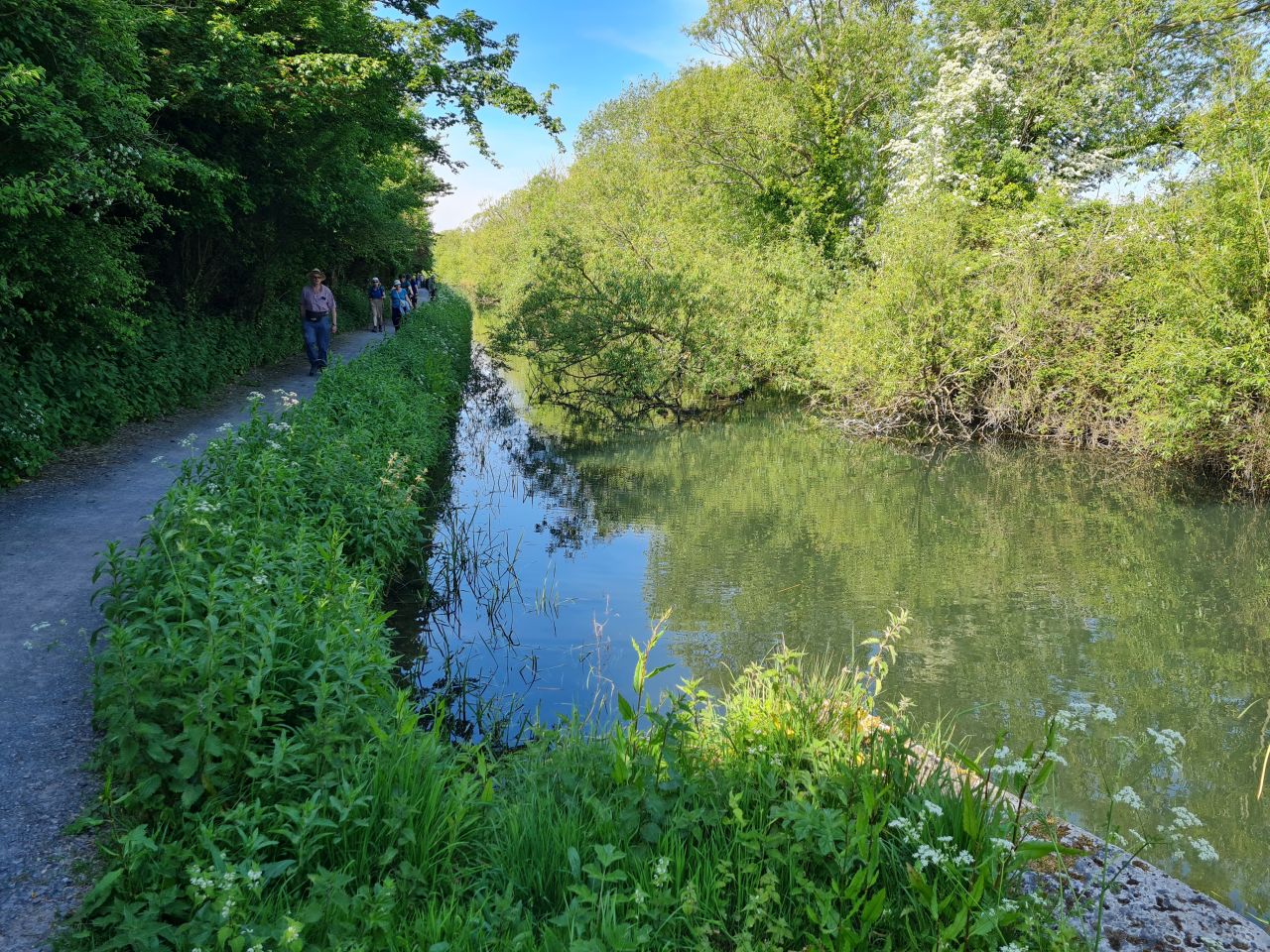 2025-05-11 03 Chichester Ship Canal.jpg