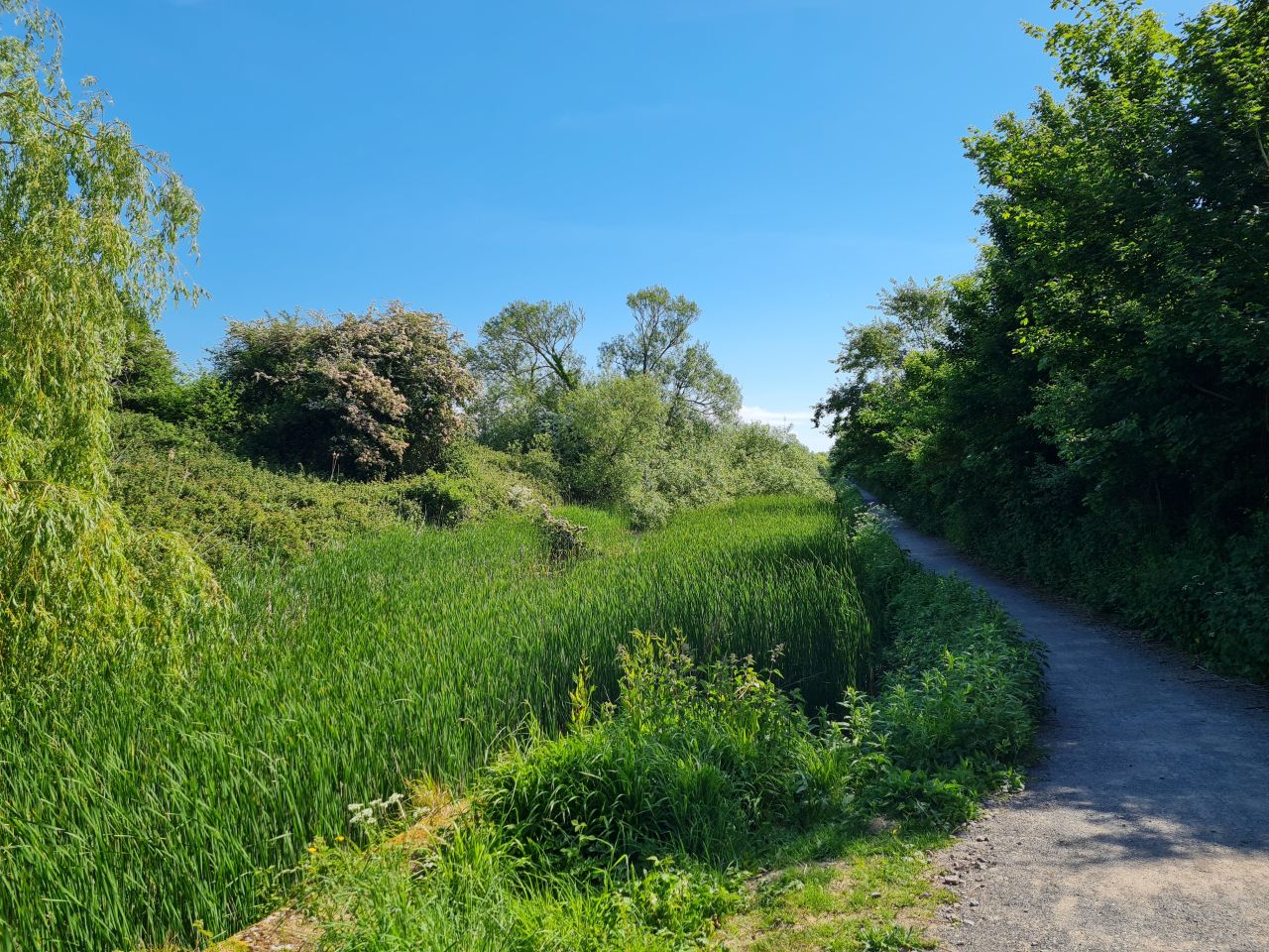 2025-05-11 04 Chichester Ship Canal.jpg