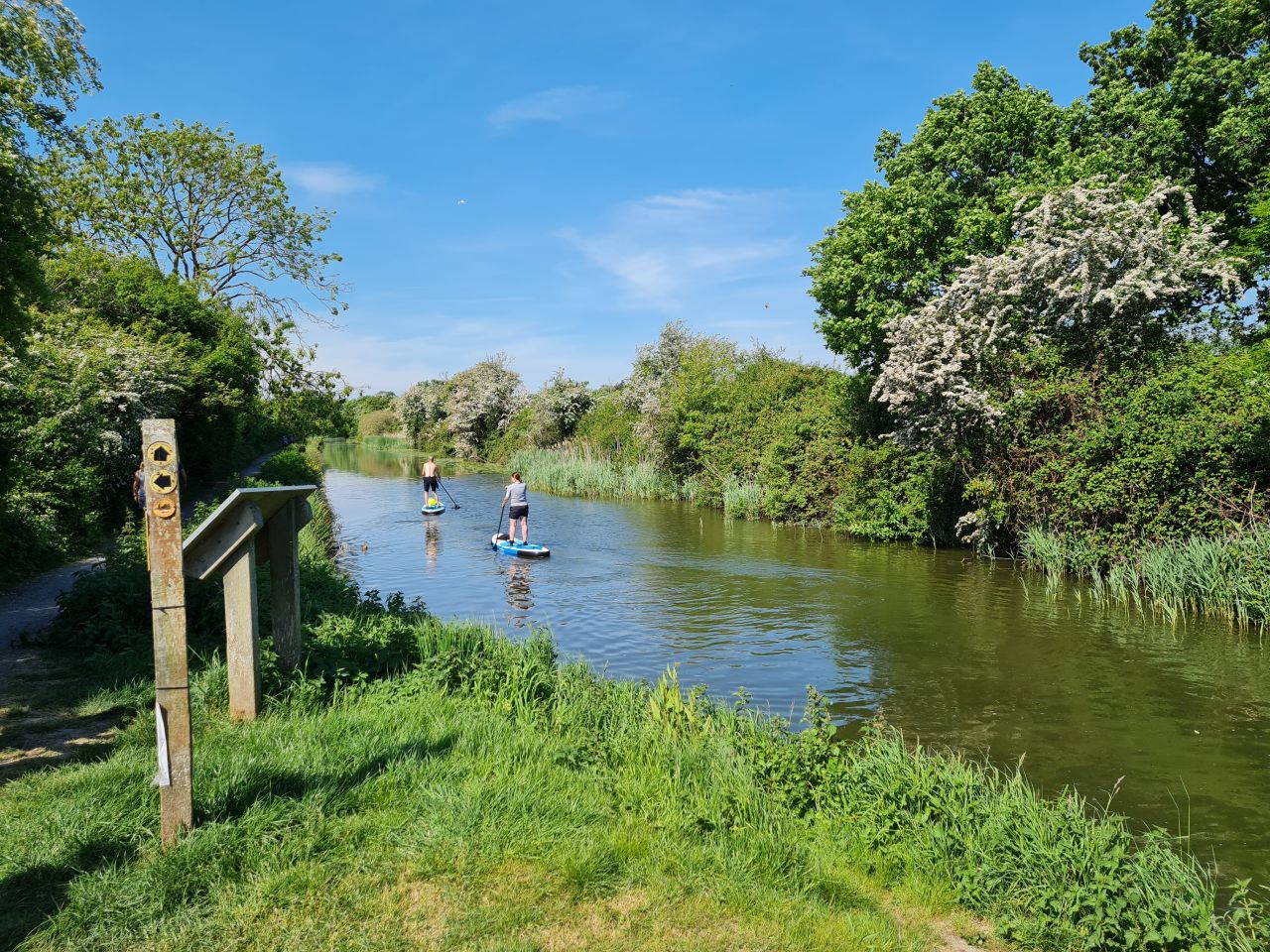 2025-05-11 07 Chichester Ship Canal.jpg
