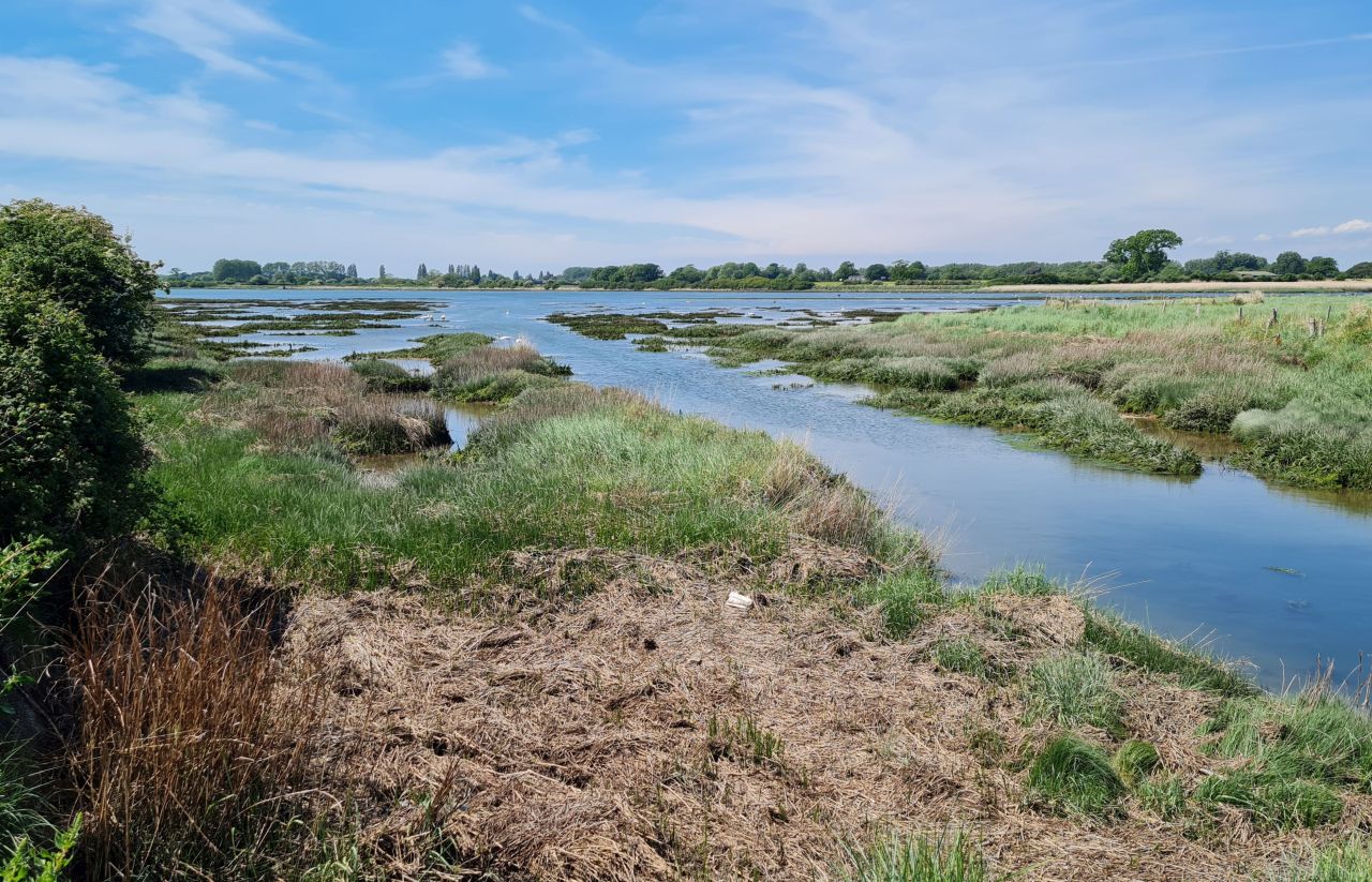 2025-05-11 26 Chichester Ship Canal.jpg