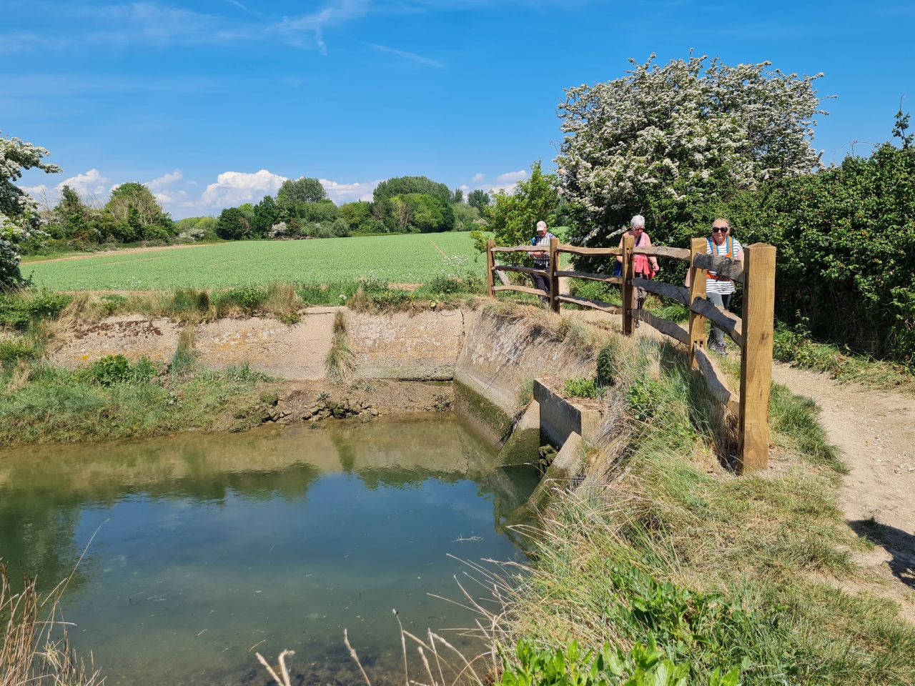 2025-05-11 27 Chichester Ship Canal.jpg