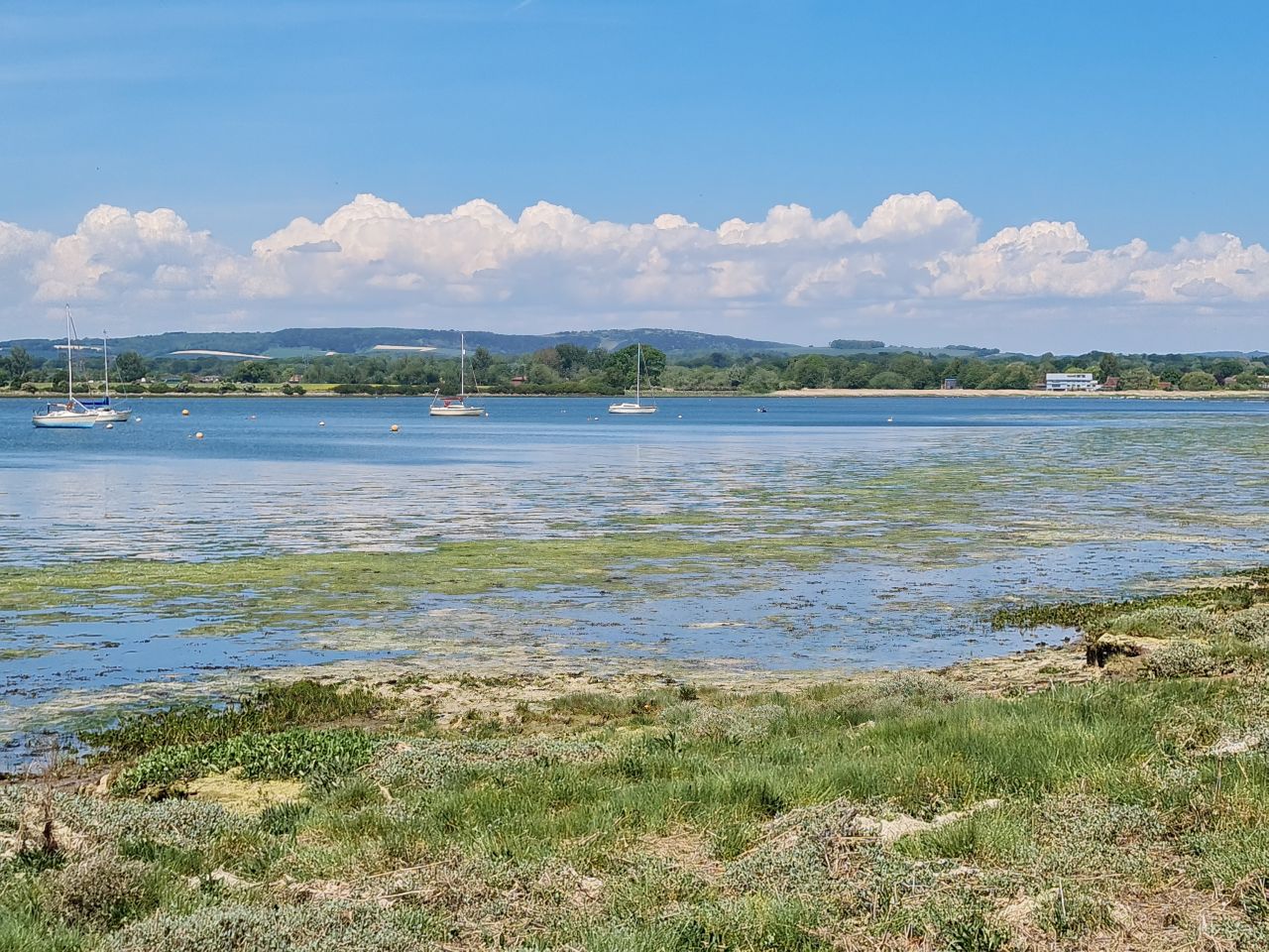 2025-05-11 29 Chichester Ship Canal.jpg