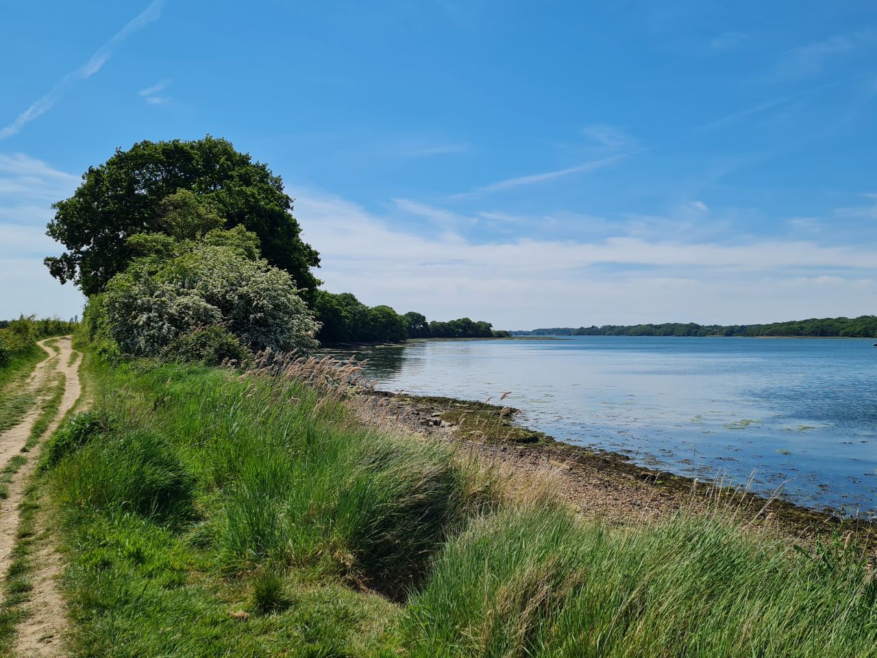 2025-05-11 31 Chichester Ship Canal.jpg