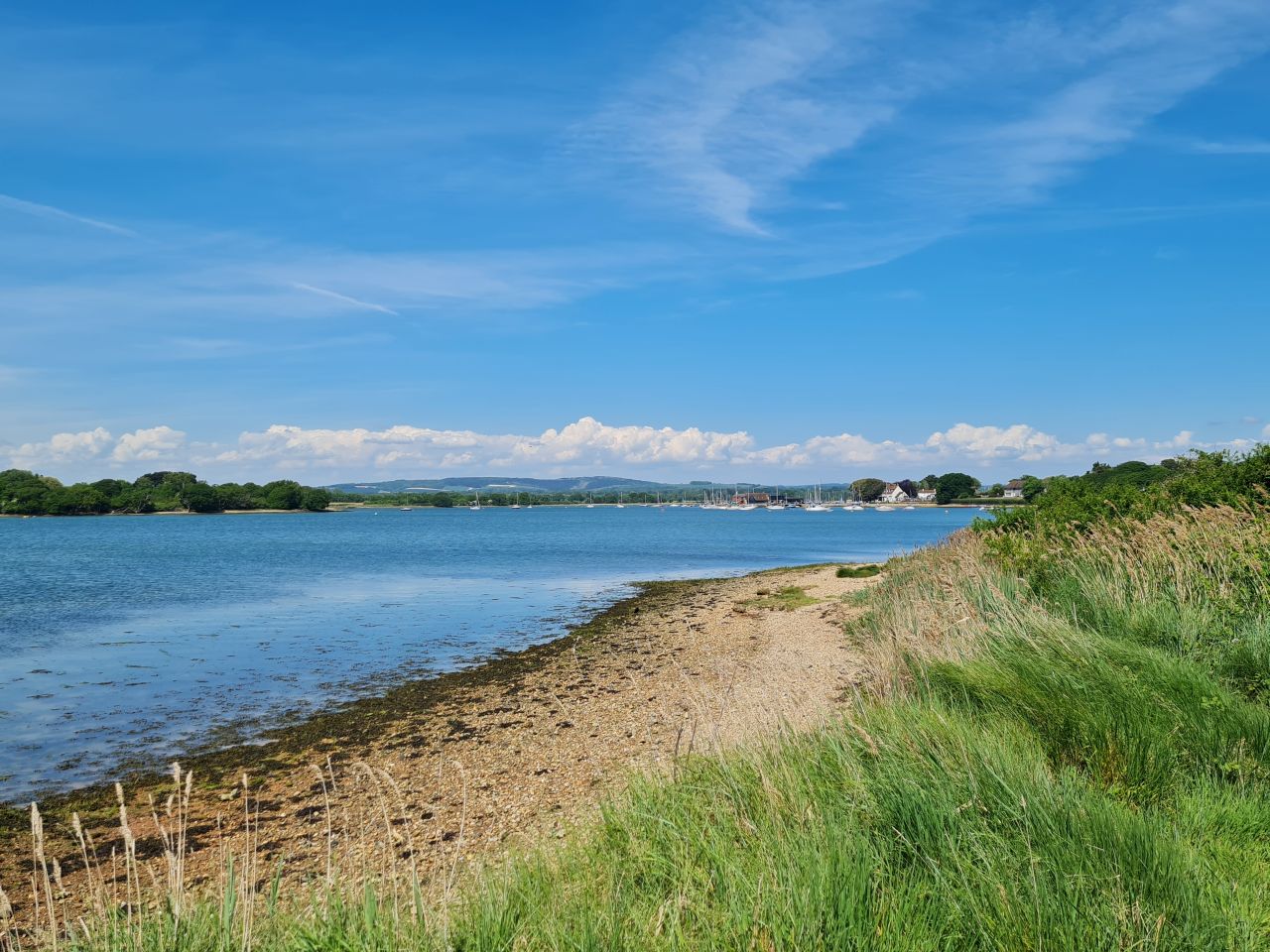 2025-05-11 32 Chichester Ship Canal.jpg