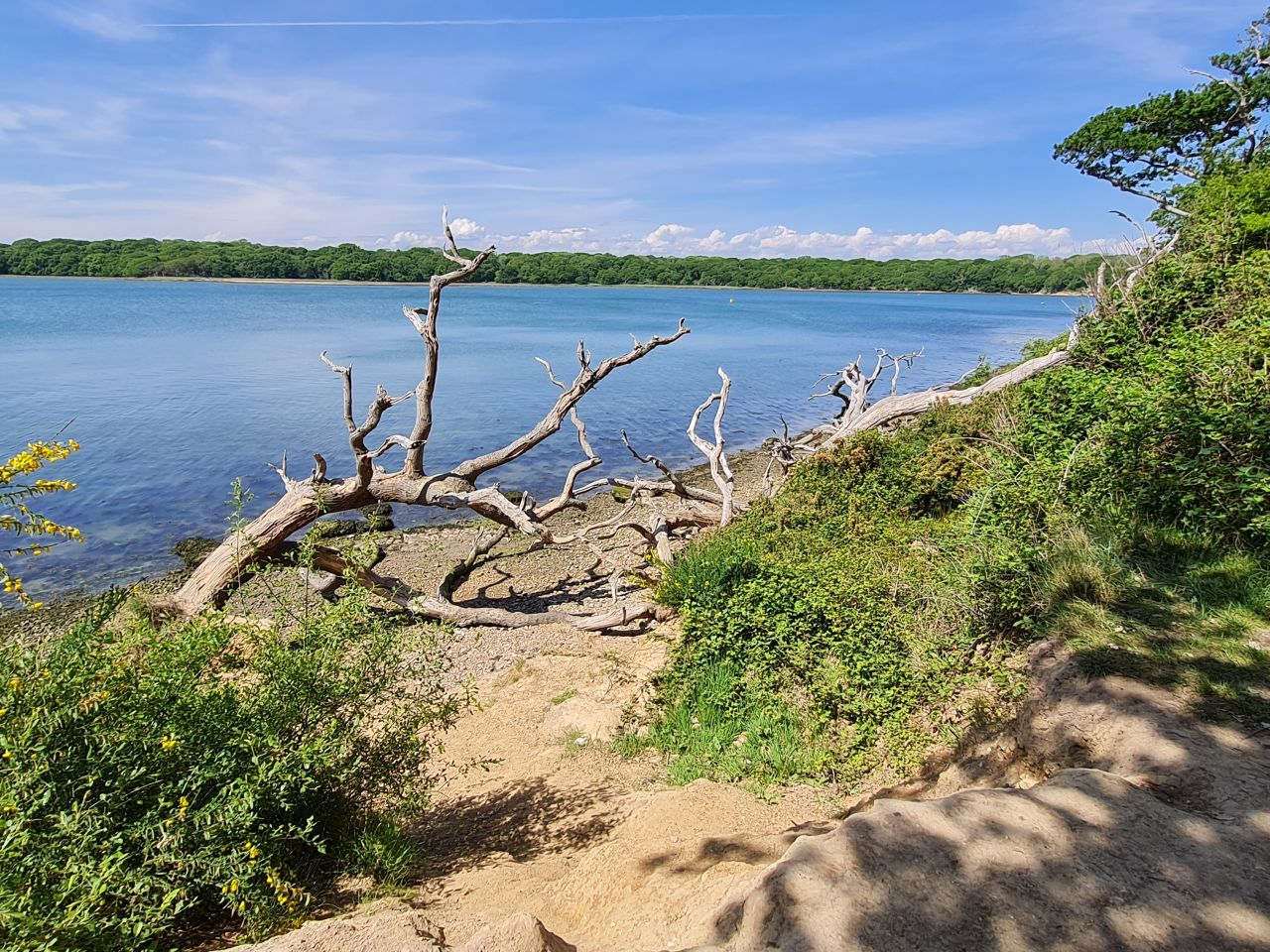 2025-05-11 33 Chichester Ship Canal.jpg