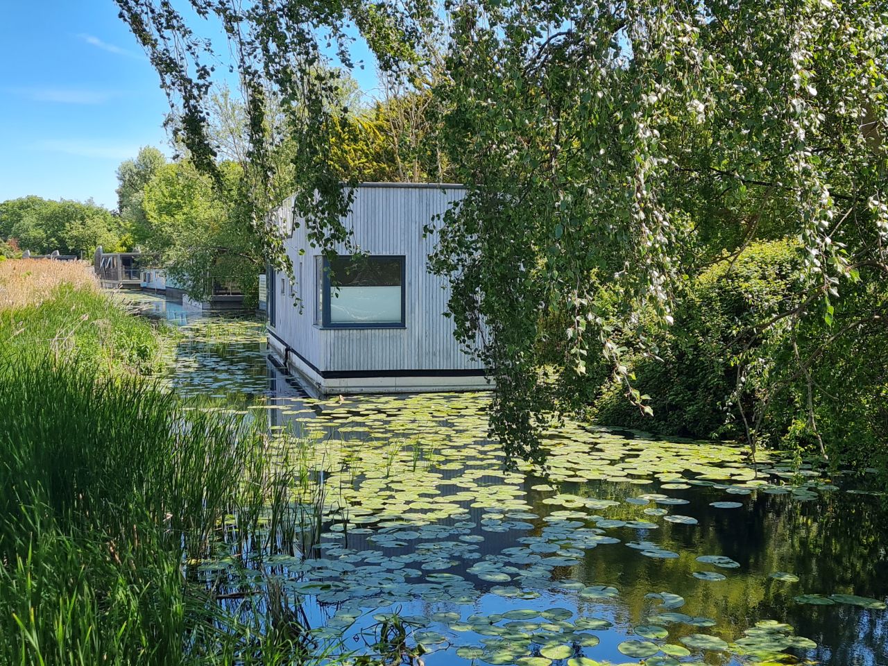 2025-05-11 35 Chichester Ship Canal.jpg