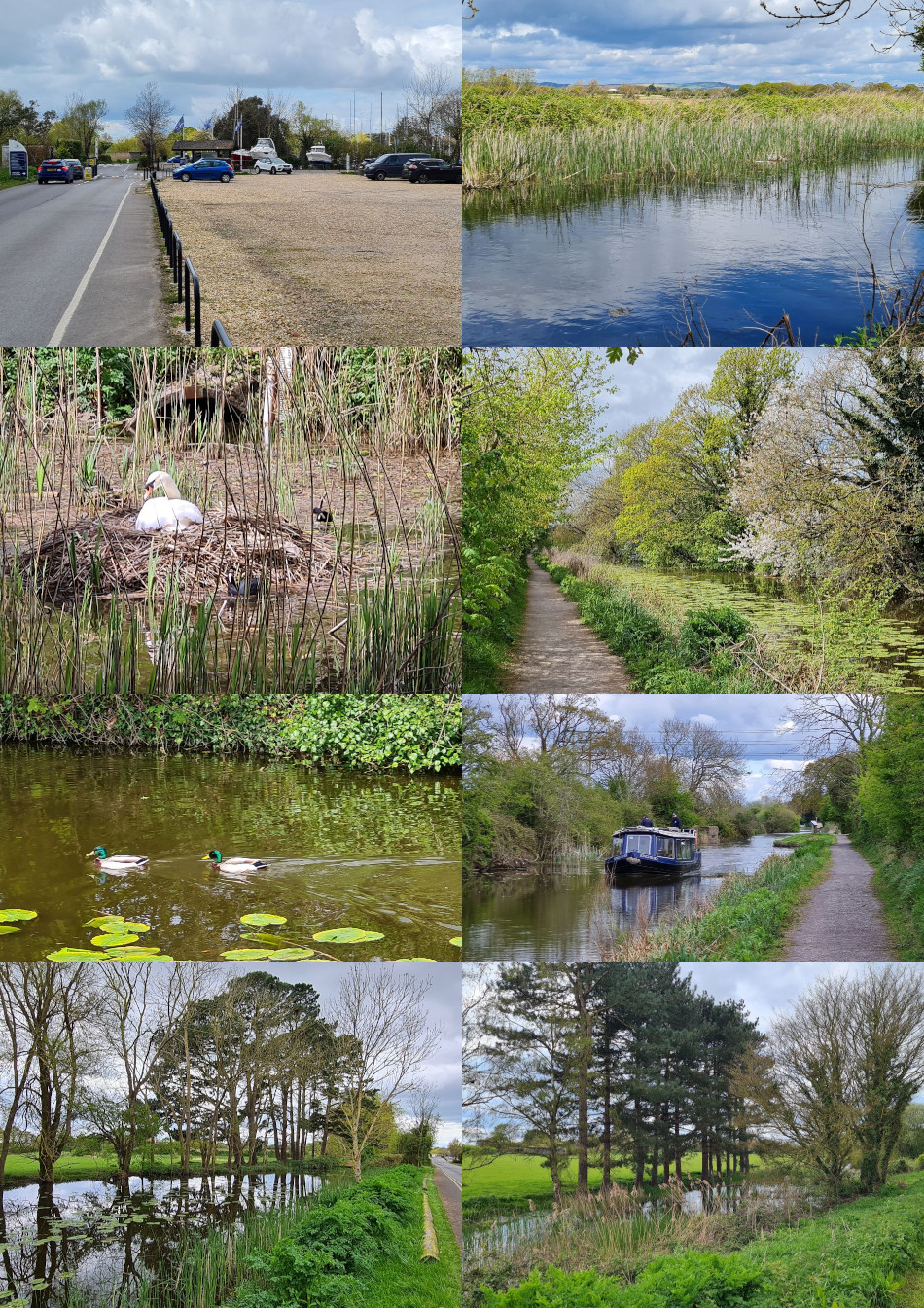 2025-05-11 98 Image.jpg