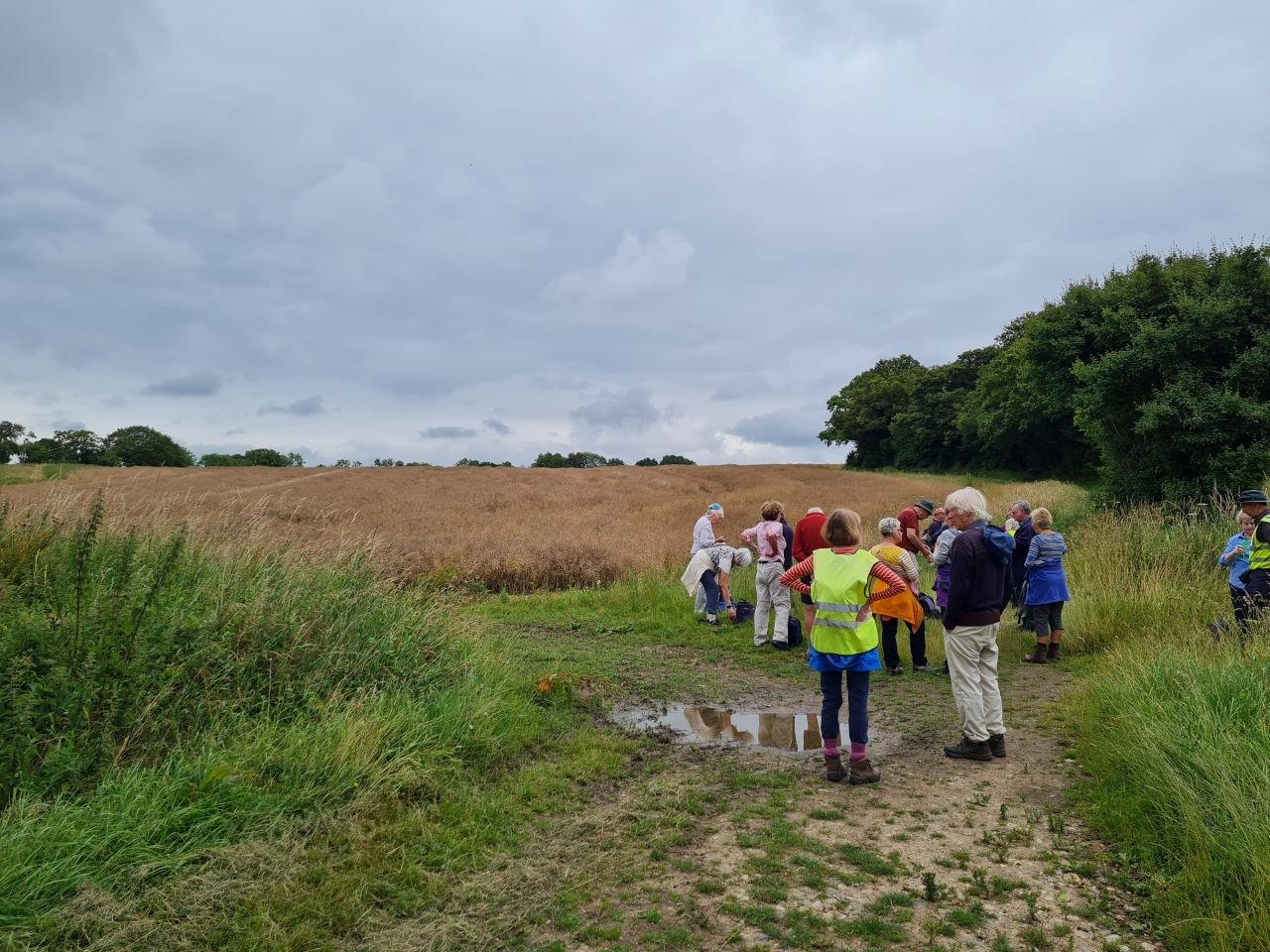 2024-07-11 15 Brooke Wensum Ramblers.jpg
