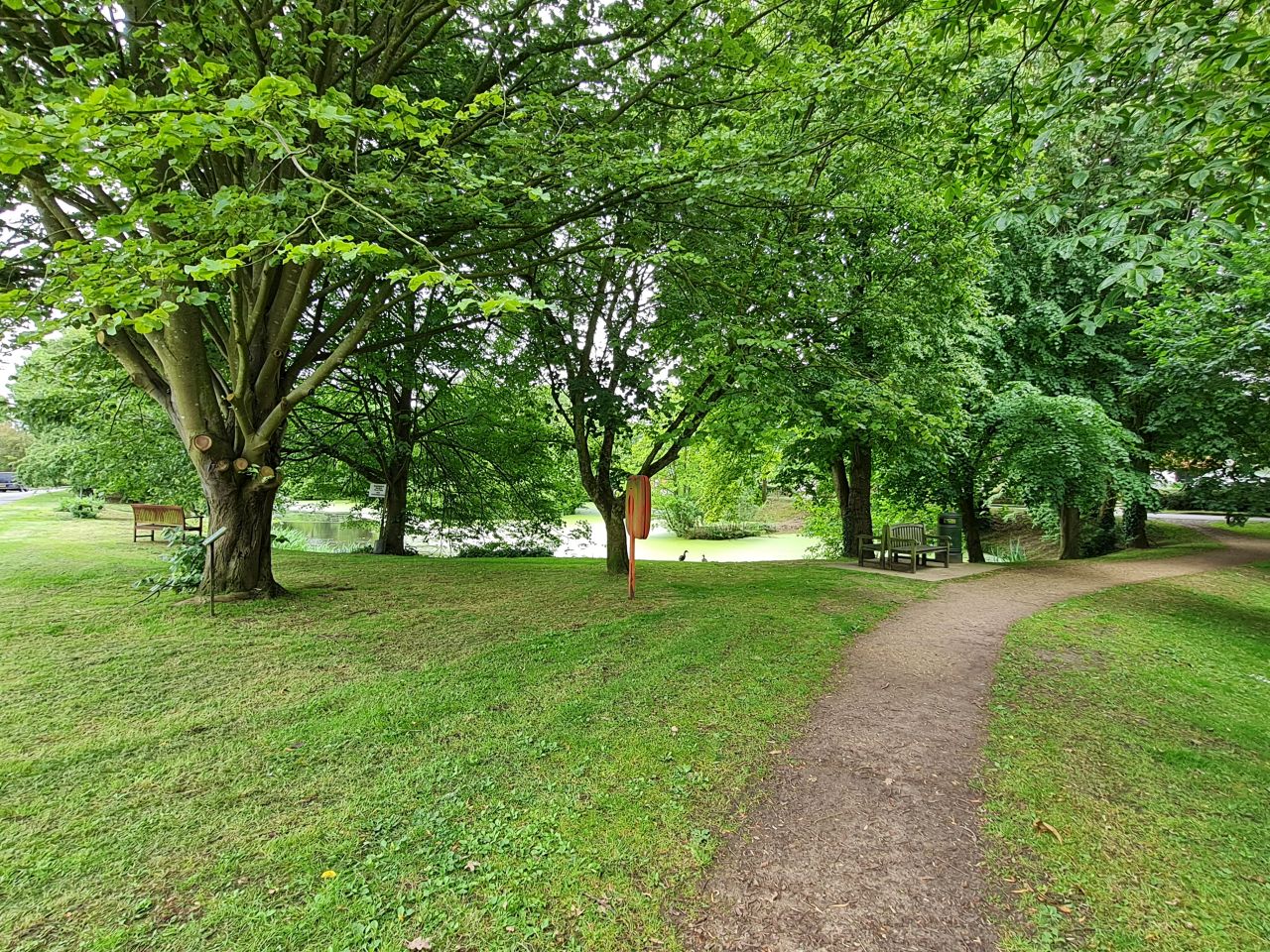 2024-07-11 21 Brooke Wensum Ramblers.jpg