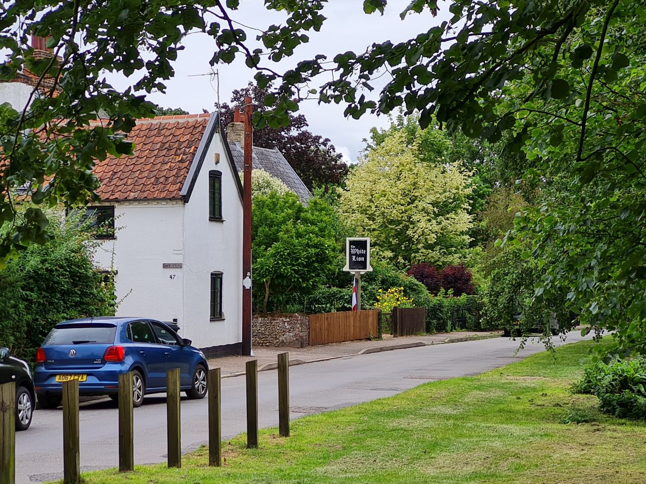 2024-07-11 22 Brooke Wensum Ramblers.jpg