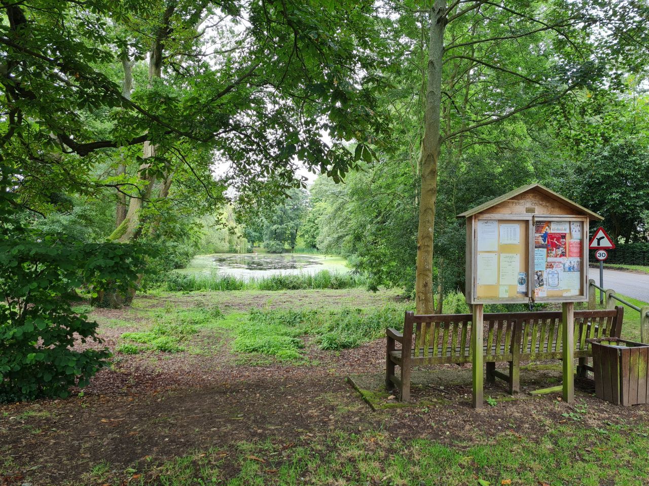 2024-07-11 25 Brooke Wensum Ramblers.jpg