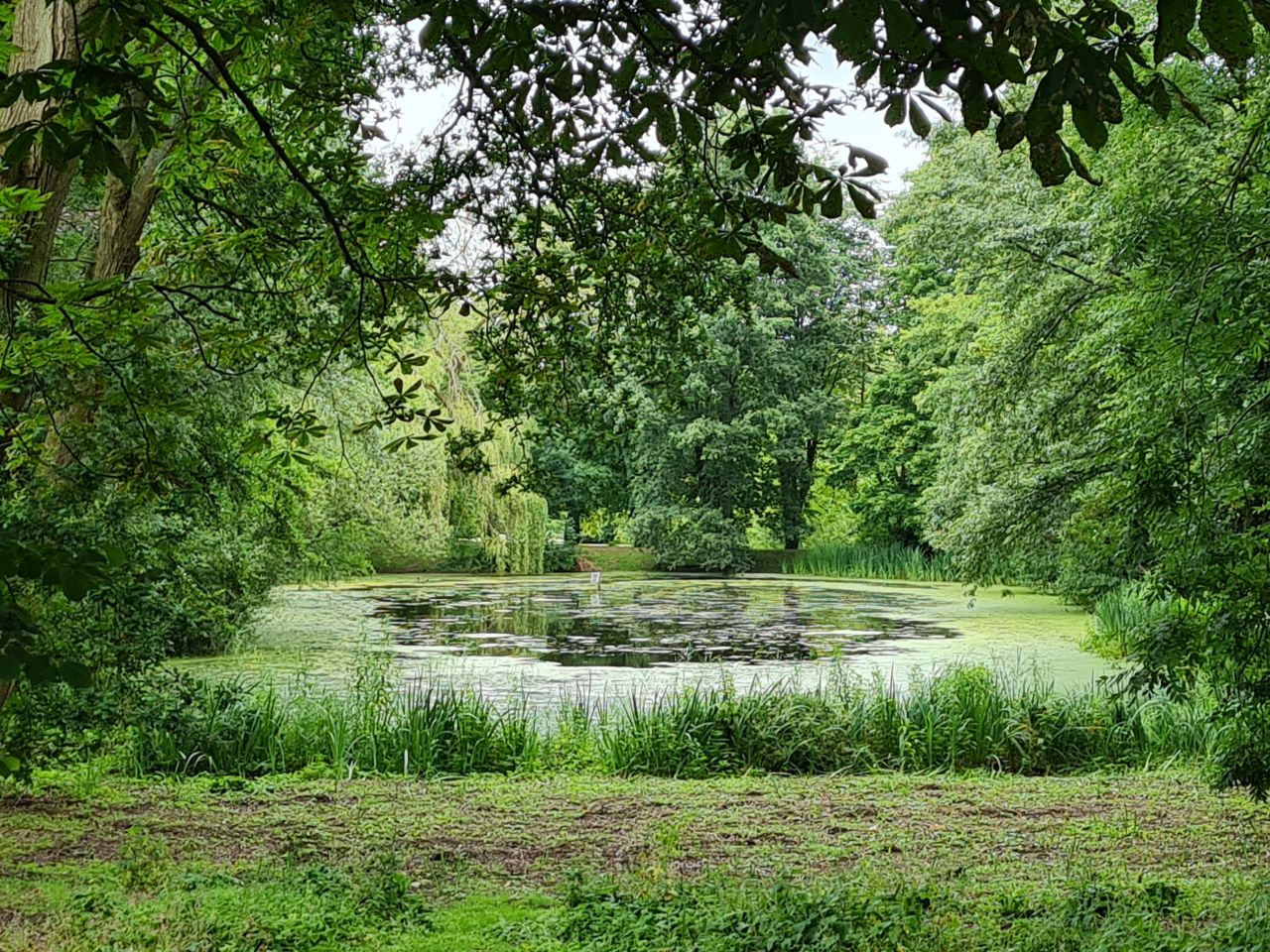 2024-07-11 26 Brooke Wensum Ramblers.jpg