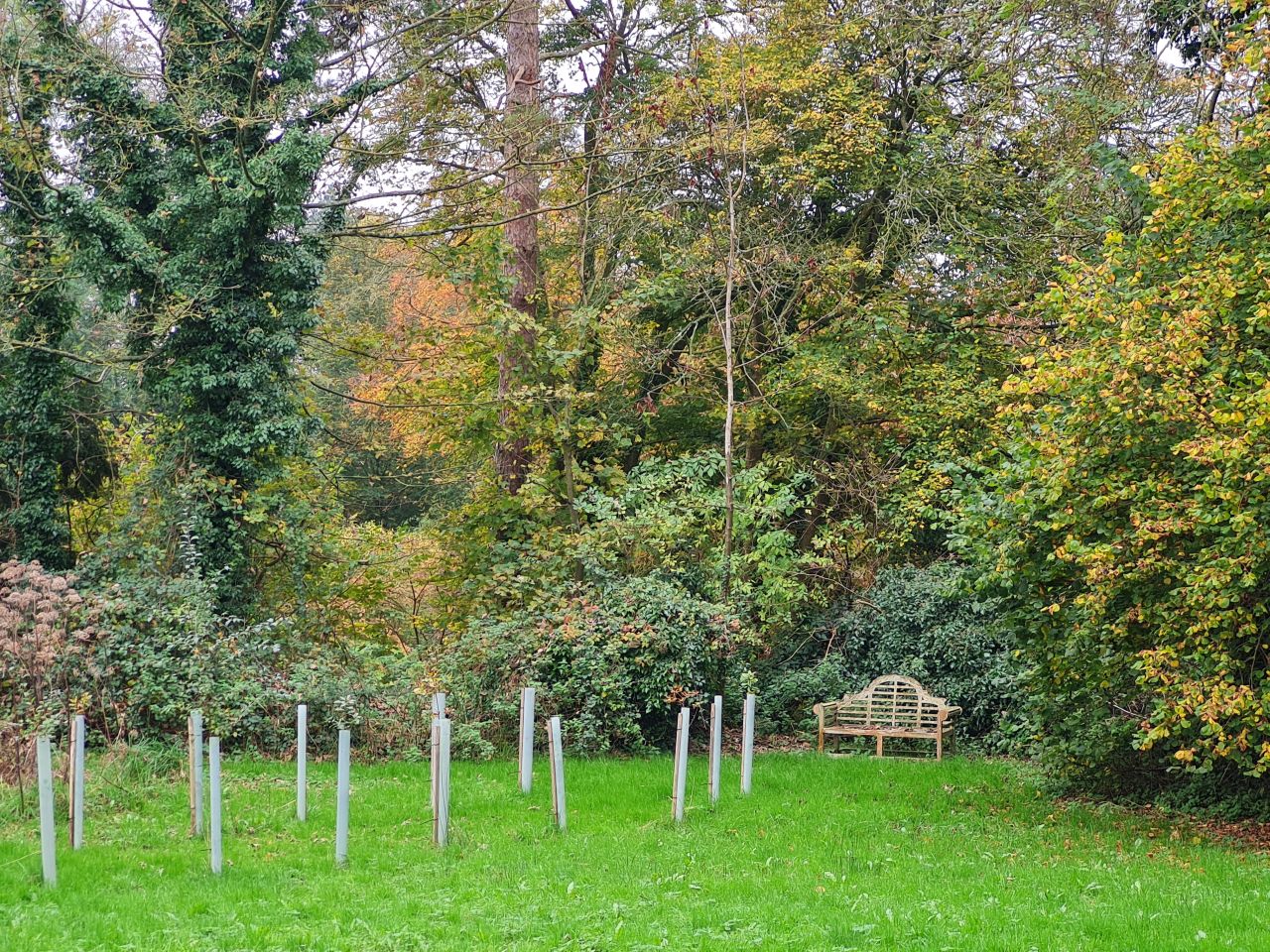 2024-11-04 11 Brundish and Owls Green.jpg