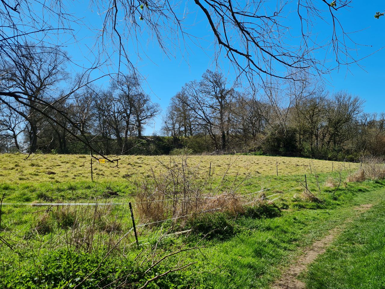 2025-04-01 07 Buckenham Castle.jpg