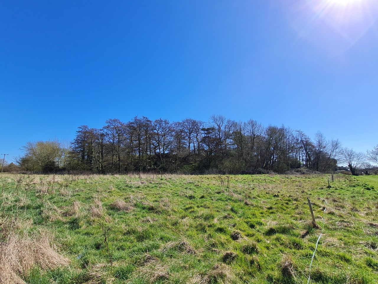 2025-04-01 11 Buckenham Castle.jpg