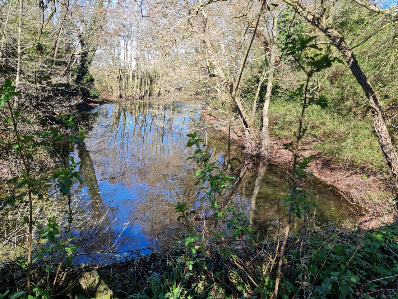 2025-04-01 15 Buckenham Castle.jpg
