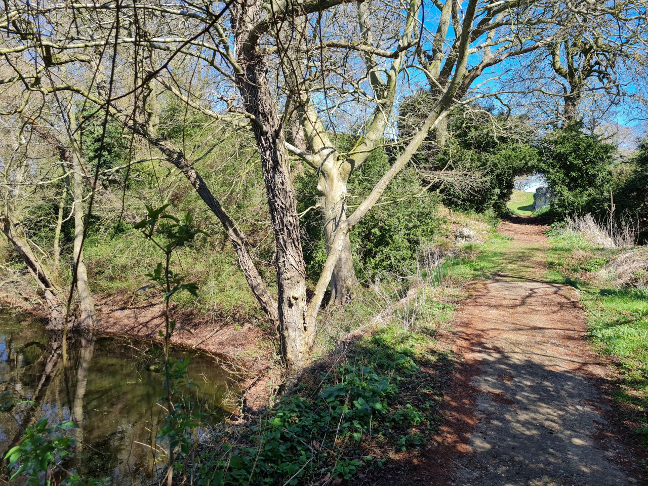 2025-04-01 16 Buckenham Castle.jpg