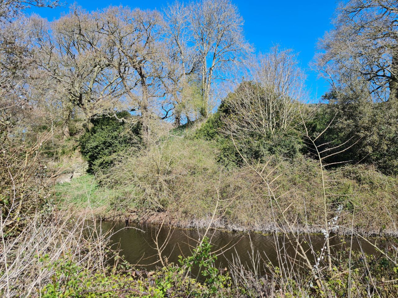 2025-04-01 18 Buckenham Castle.jpg