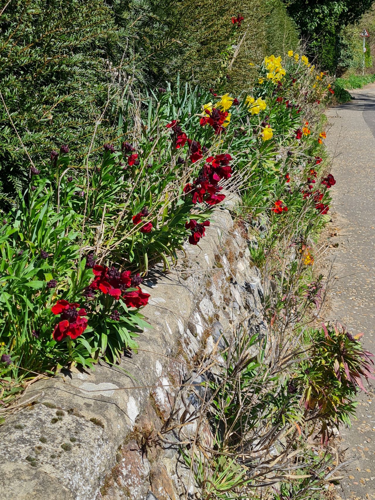 2025-04-01 23 New Buckenham.jpg