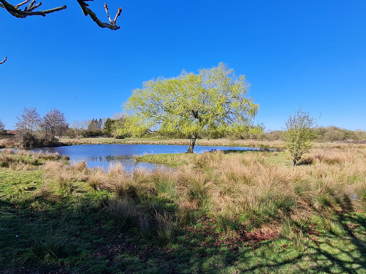 2025-04-01 45 New Buckenham.jpg