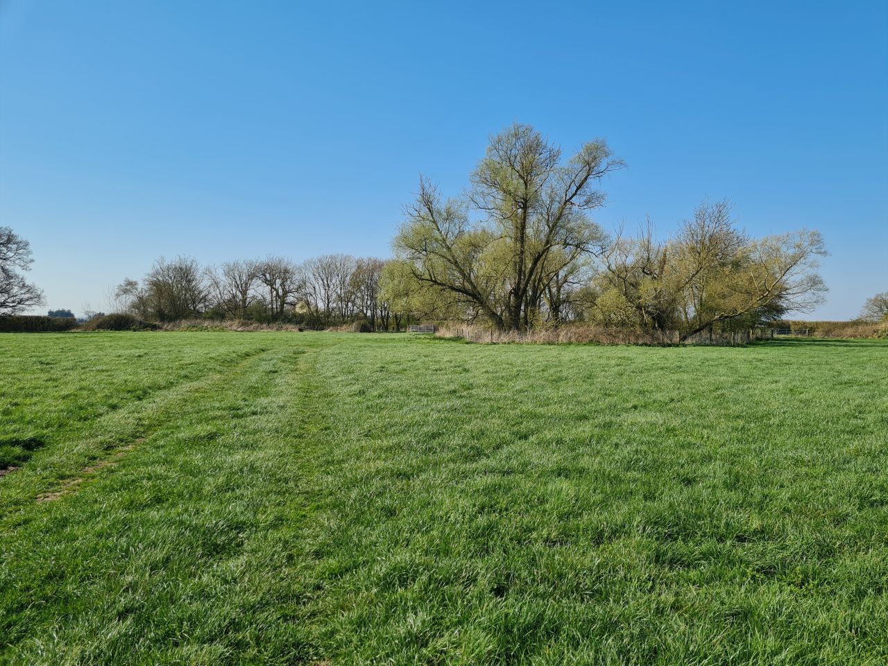 2025-04-03 02 Short Green and New Buckenham.jpg