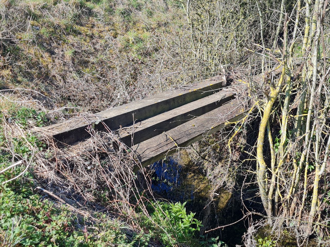 2025-04-03 04 Short Green and New Buckenham.jpg