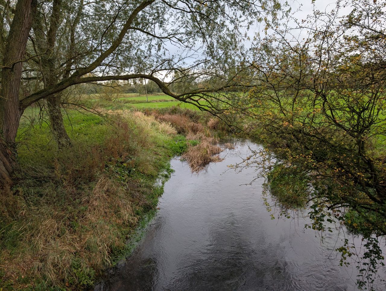 2025-10-25 03 Angles Way.jpg