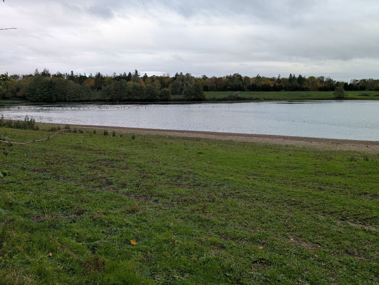 2025-10-25 08 Angles Way.jpg