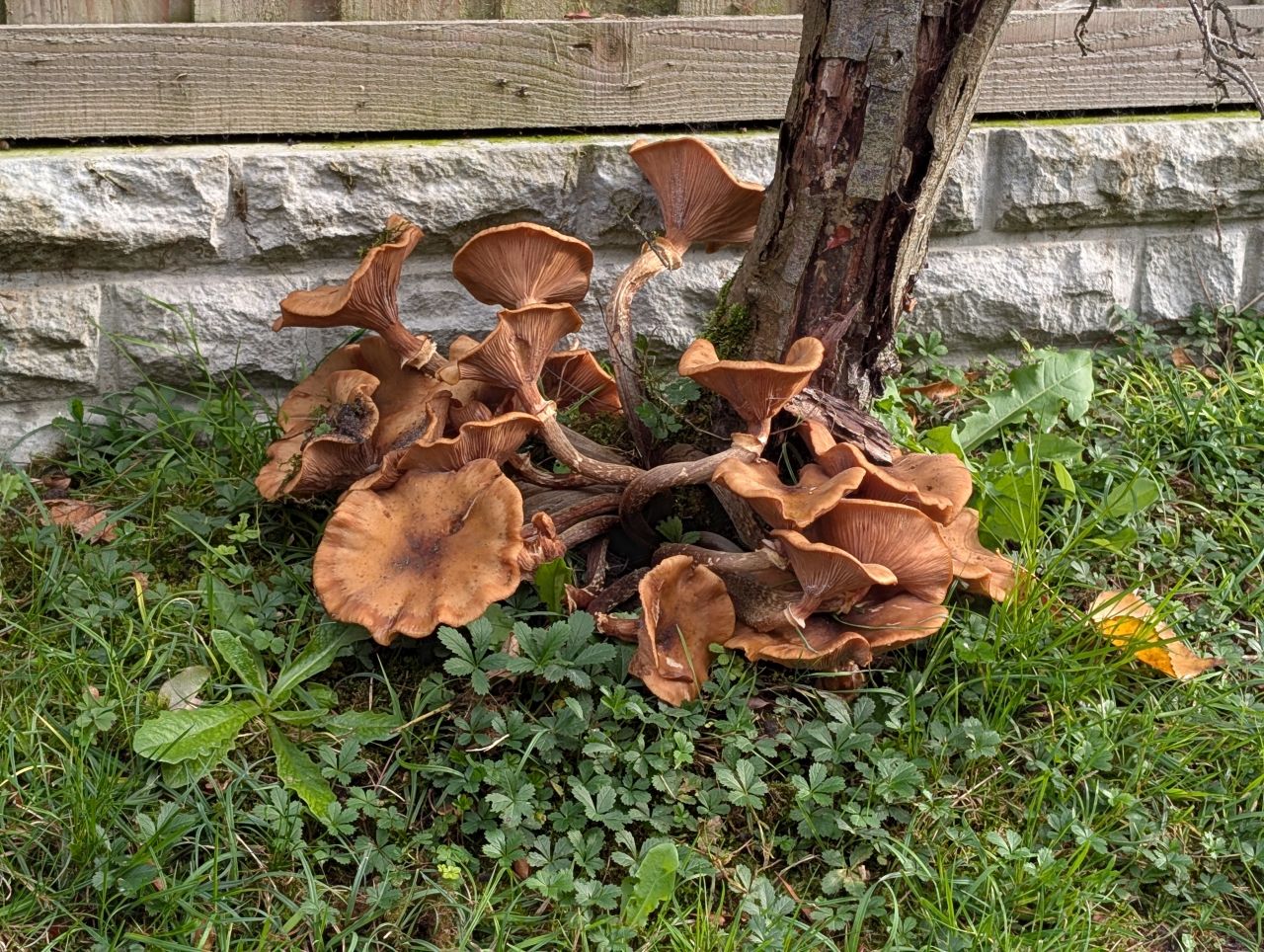 2025-10-25 13 Angles Way.jpg