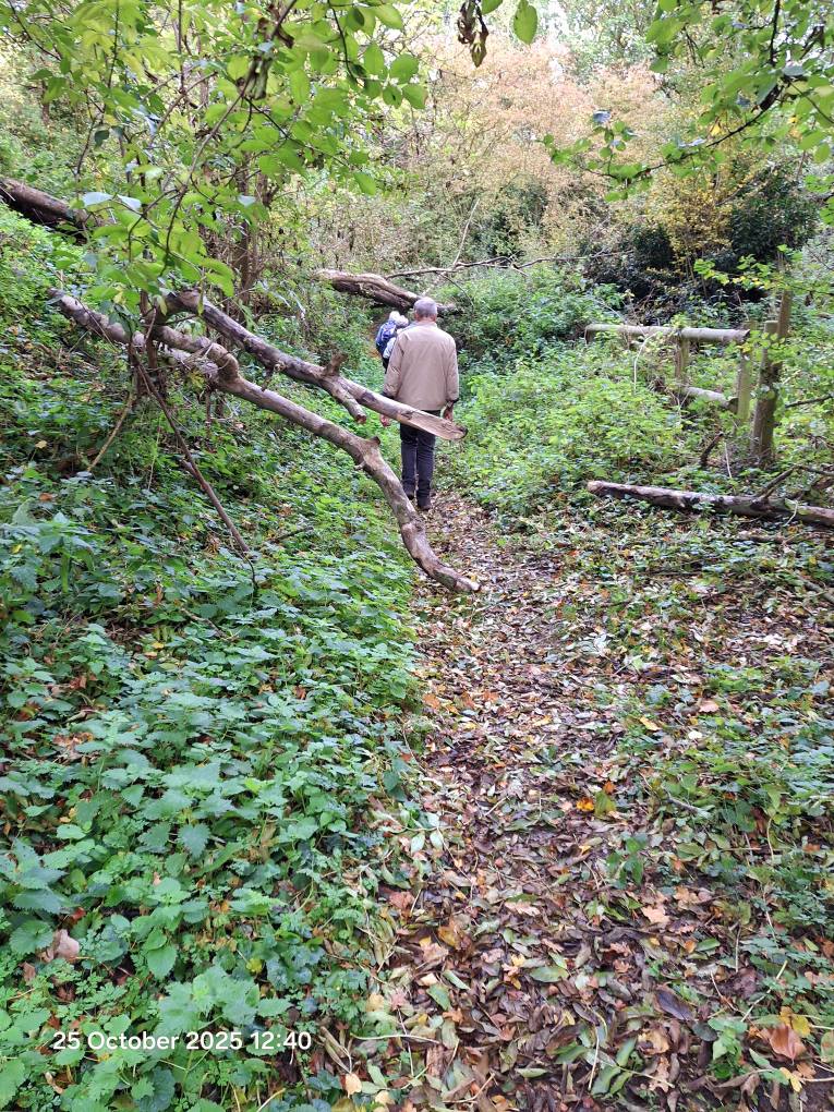 2025-10-25 17 Angles Way.jpg