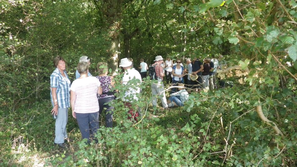 2016-09-14 02 Wenhaston Area.jpg