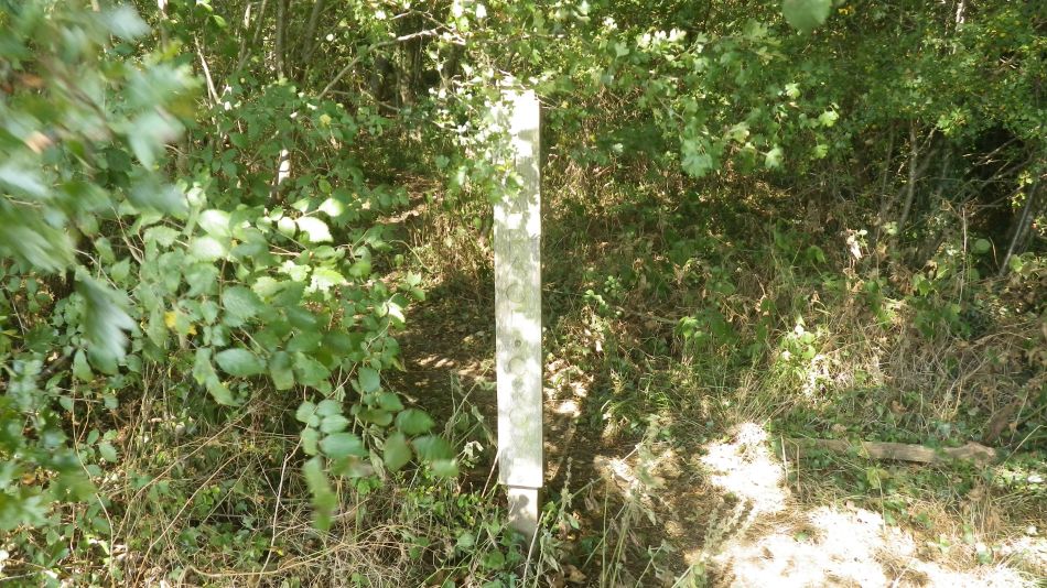 2016-09-14 03 Wenhaston Area.jpg