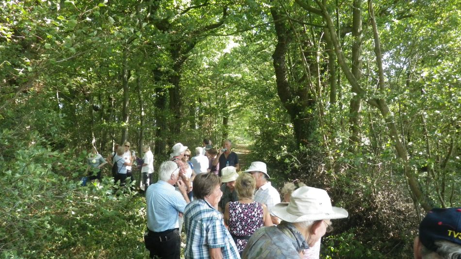 2016-09-14 04 Wenhaston Area.jpg