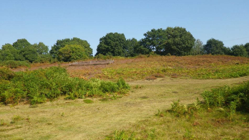 2016-09-14 05 Wenhaston Area.jpg