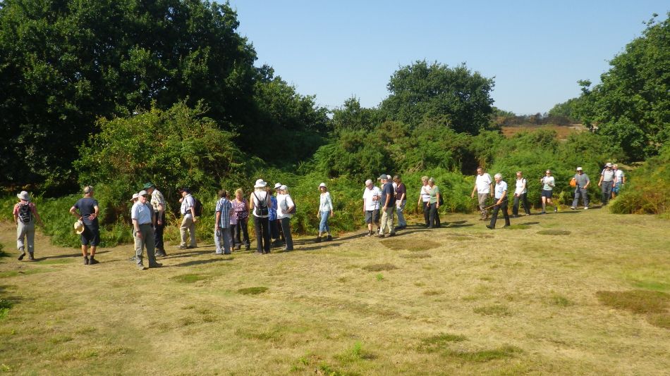 2016-09-14 06 Wenhaston Area.jpg