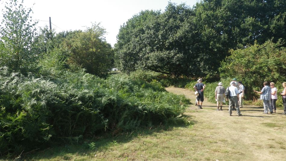 2016-09-14 07 Wenhaston Area.jpg